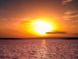 DJI_0004_900__thumbnail